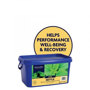 D & H Nettle 1 kg
