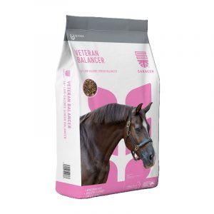 Saracen Veteran Balancer 20kg
